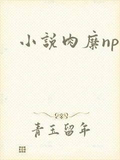 小说肉糜np