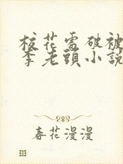 校花处破被灌满李老头小说