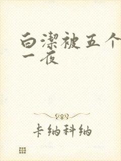 白洁被五个人玩一夜