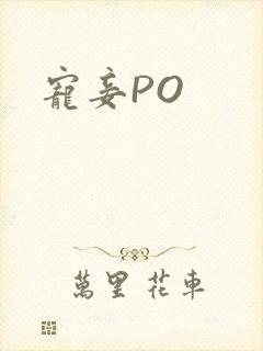 宠妾PO