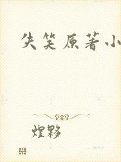 《失笑原著小说》小说封面