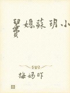 儿媳苏玥小说免费