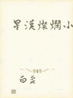 星汉灿烂小说