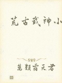 荒古武神小说