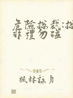 危险总裁:总裁非礼勿碰