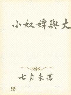 小奴婢与大少爷