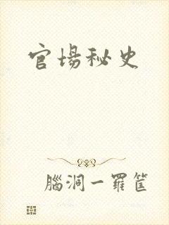 官场秘史