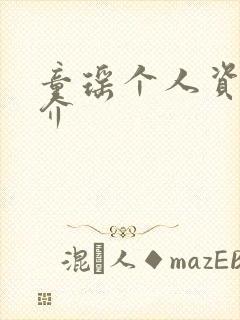 童瑶个人资料简介