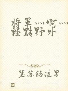 将军灬啊灬啊灬轻点野外