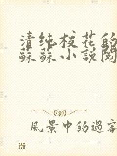 清纯校花的日常苏苏小说阅读全文