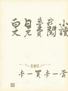 白日梦我小说全文免费阅读