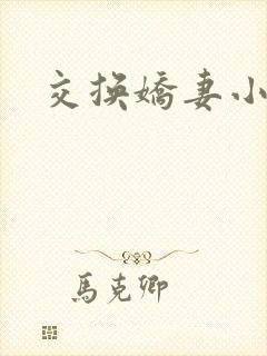 交换娇妻小说