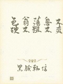 色翁荡息又大又硬又粗又爽电影