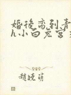 婚后脔到青梅哭h小白兔宫交h