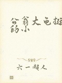 公翁大龟挺进我的小