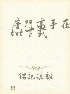 唐门高手在异世txt下载