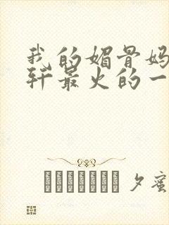 我的媚骨妈妈林轩最火的一句