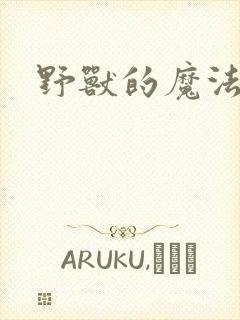 野兽的魔法师封面