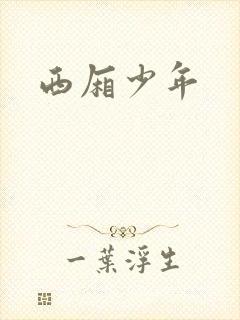 西厢少年
