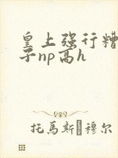 皇上强行糟蹋太子np高h