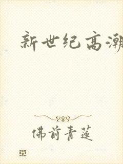 新世纪高潮战队