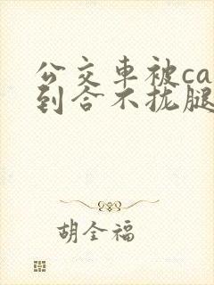 公交车被cao到合不拢腿视频