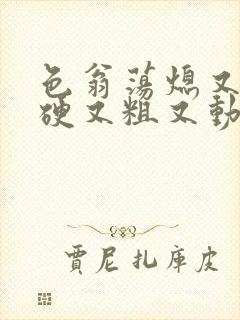 色翁荡熄又大又硬又粗又动态图