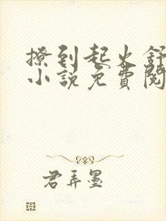 撩到起火舒漾的小说免费阅读全文