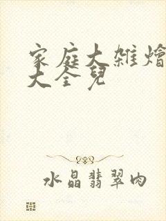 家庭大杂烩小说大全儿