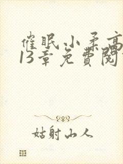 催眠小柔高达第13章免费阅读