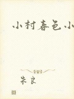 小村春色小说