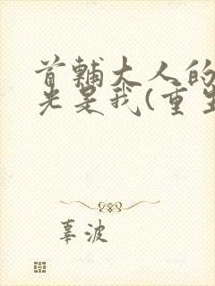 首辅大人的白月光是我(重生)