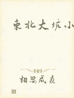 东北大坑小说