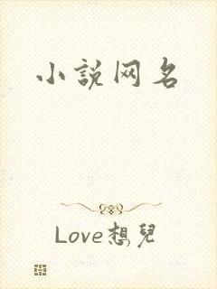 小说网名