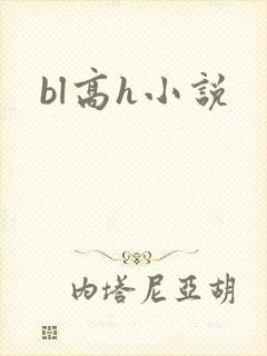 bl高h小说封面