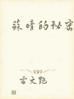 苏晴的秘密小说