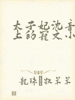 太子妃沈音和皇上的宠文小说