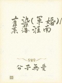 有染(军婚)/叶落淮南