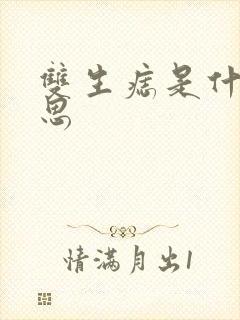 《双生痣是什么意思》小说封面