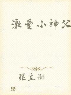 激爱小神父
