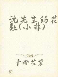 沈先生的花式调数(小非)