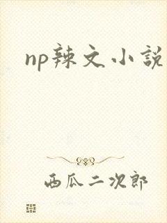 np辣文小说