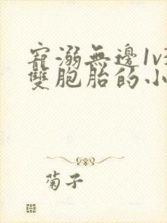 宠溺无边1v3双胞胎的小说