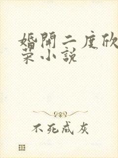 婚开二度欣欣向荣小说