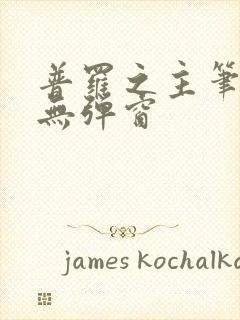 普罗之主笔趣阁无弹窗