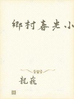 乡村春光小说