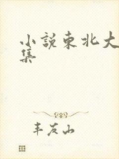 小说东北大炕全集