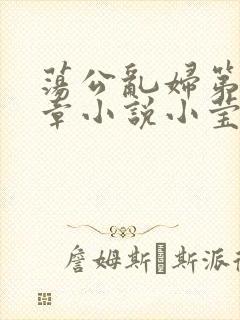 荡公乱妇第51章小说小莹