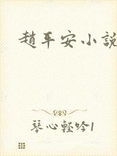 赵平安小说主角