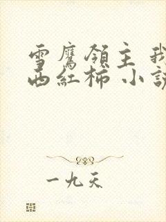 雪鹰领主 我吃西红柿 小说